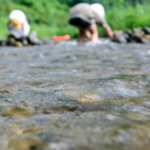 川や海が危険な理由